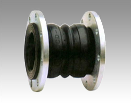 JGD���p���w���������z���^