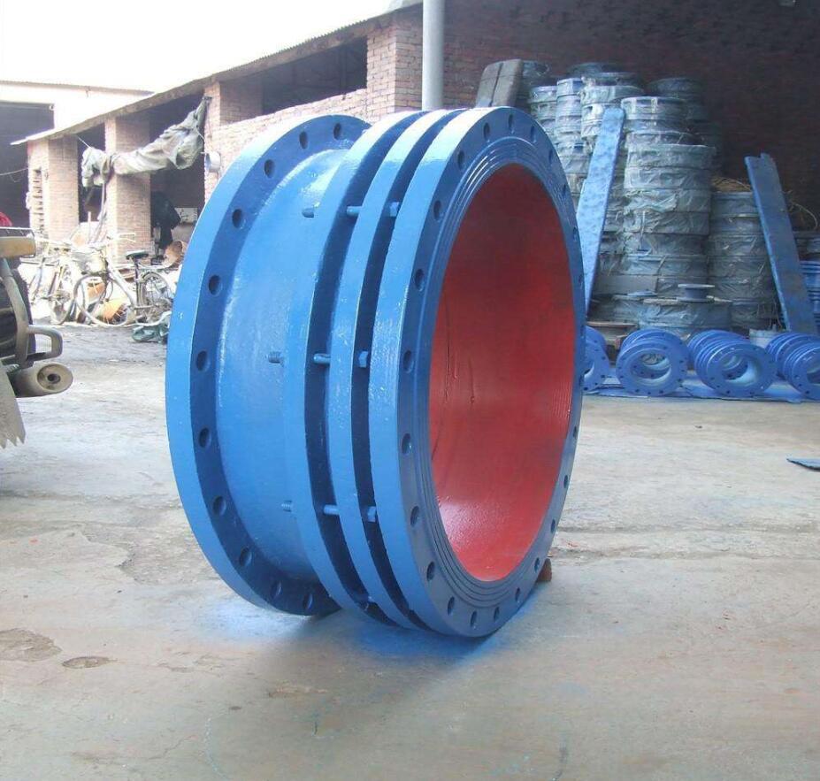 �Fꖹܵ���s��