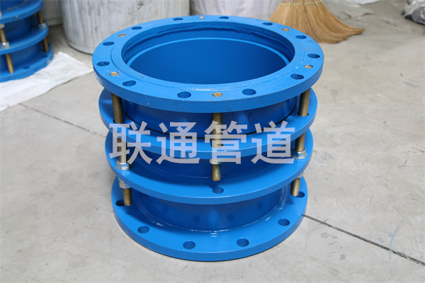 �Ĵ������s���^